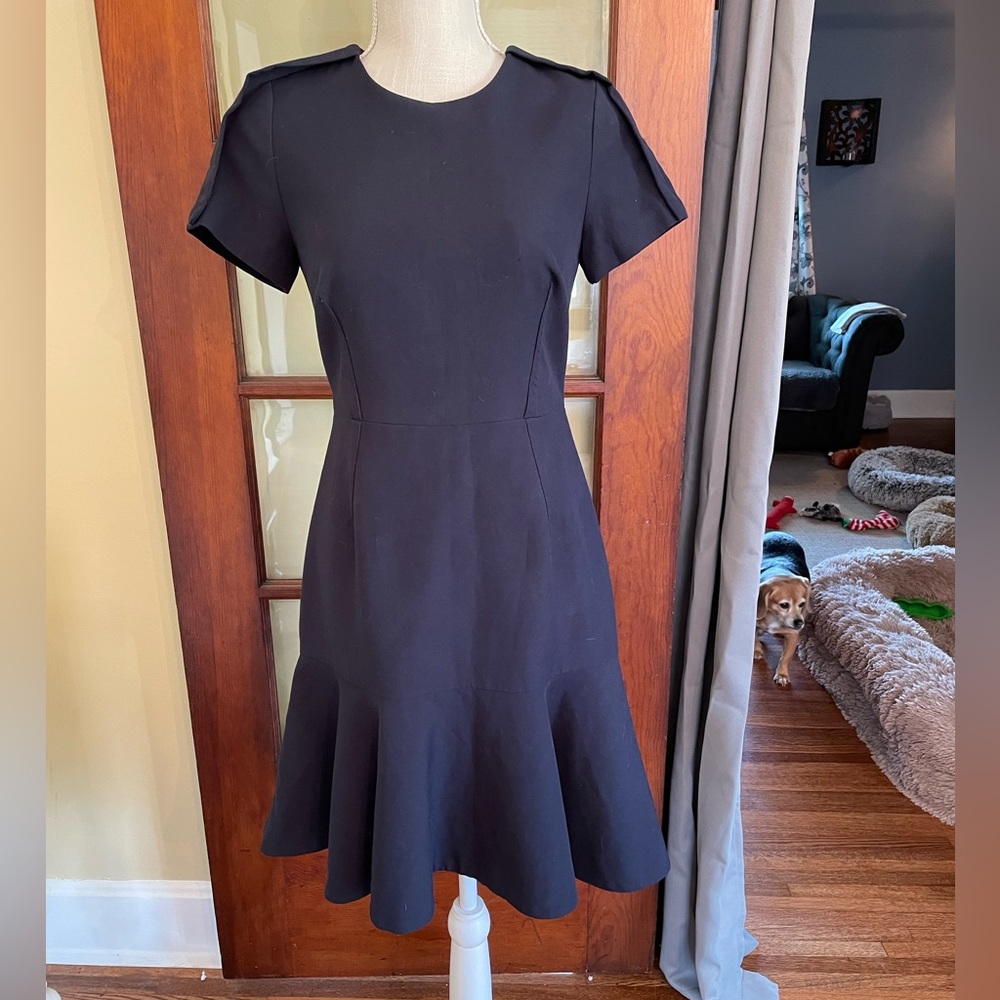 Banana Republic fit and flare dress